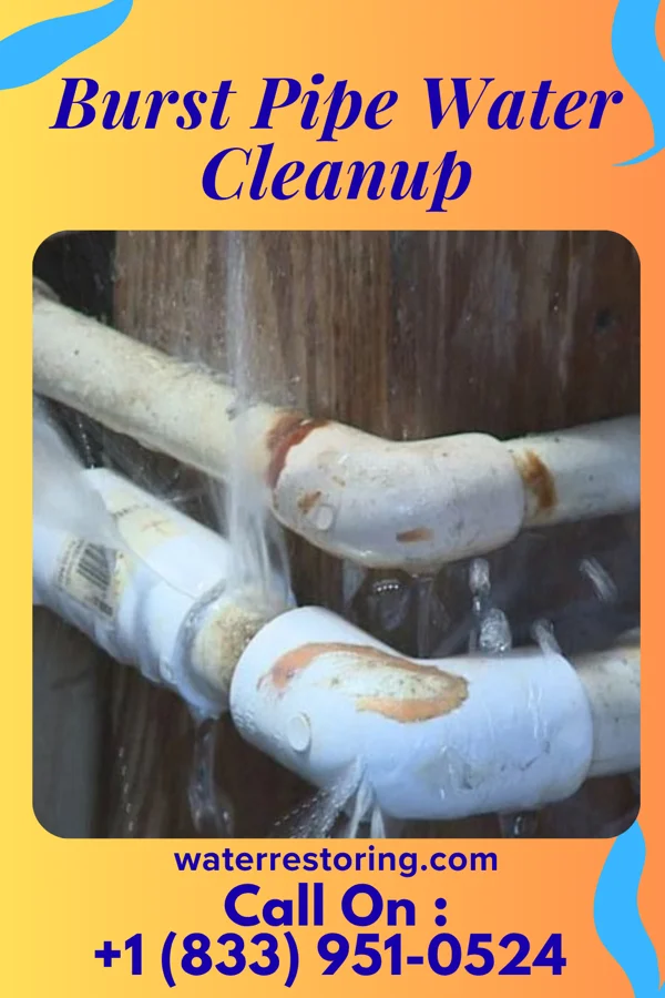 Burst Pipe Water Cleanup in Madison Lake, MN
