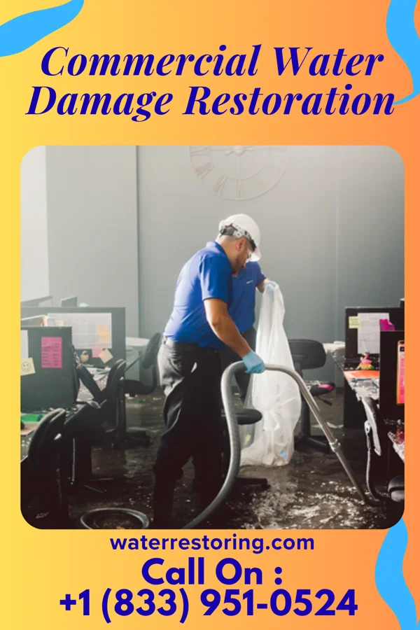 Commercial Water Damage Restoration in Madison Lake, MN