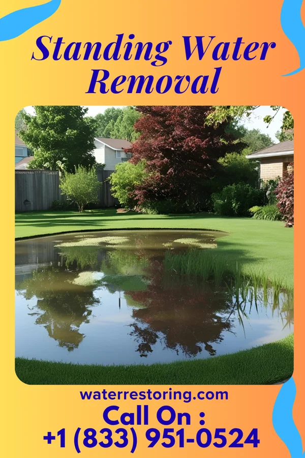 Standing Water Removal in Madison Lake, MN